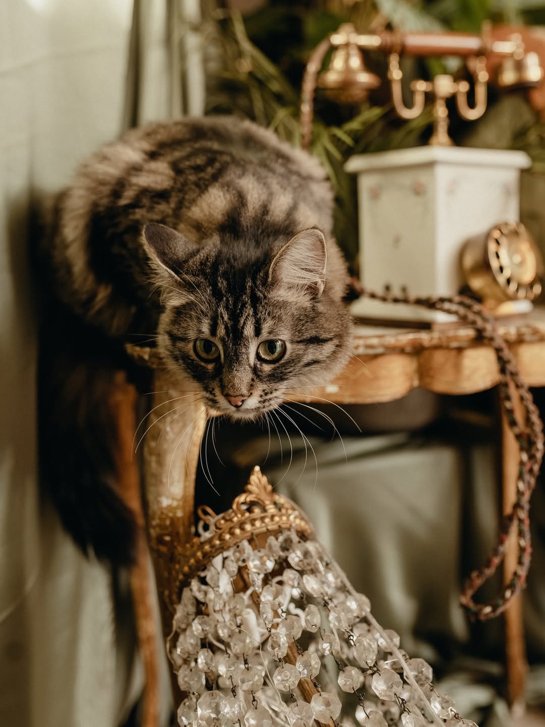 Vintage - фото 8